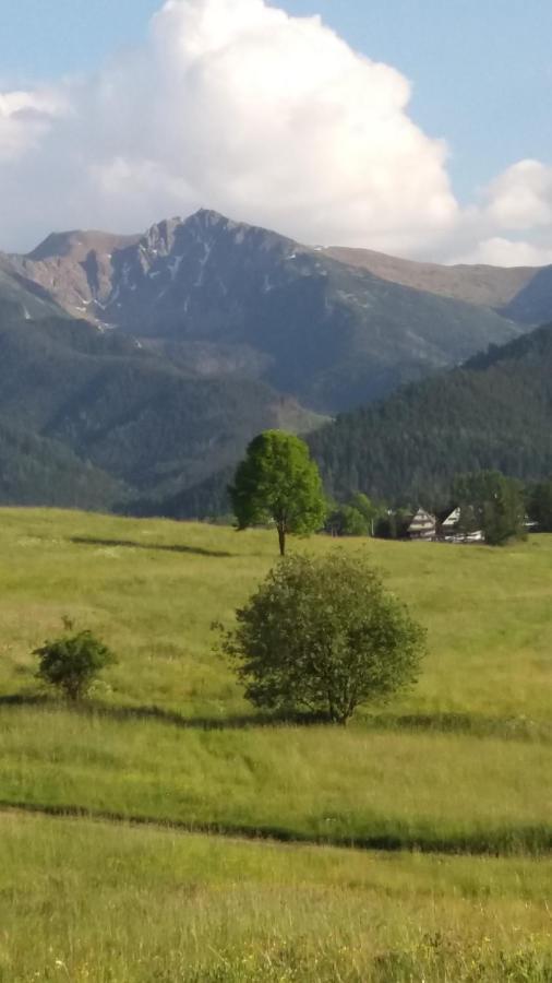 Domek Pod Ubocom Zakopane Exterior foto